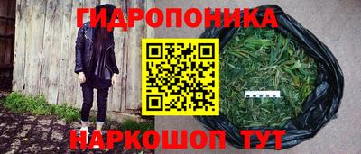мдпв Аша