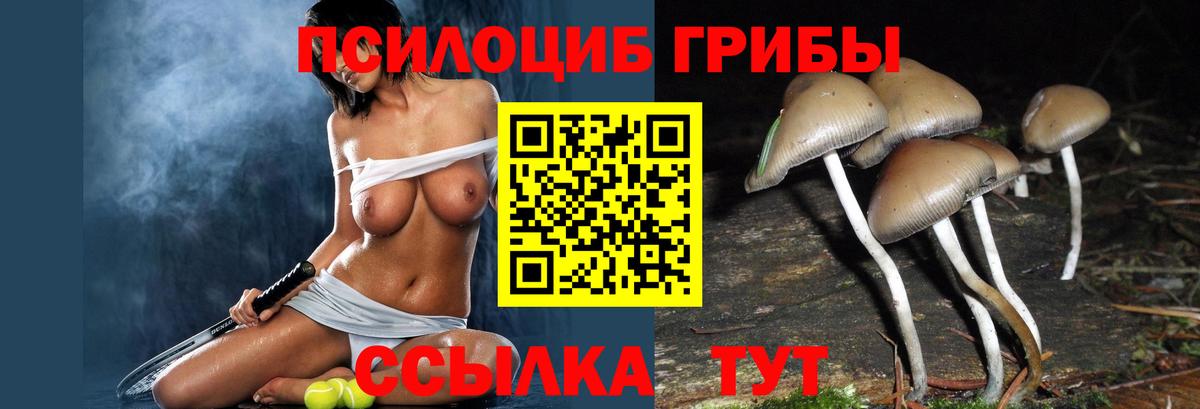 Галлюциногенные грибы Magic Shrooms  сколько стоит  Отрадное  Галлюциногенные грибы прущие грибы  Вход с VPN 